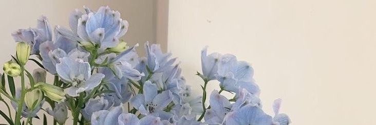 あかり banner