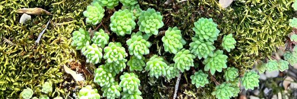 mariagmayo Profile Banner