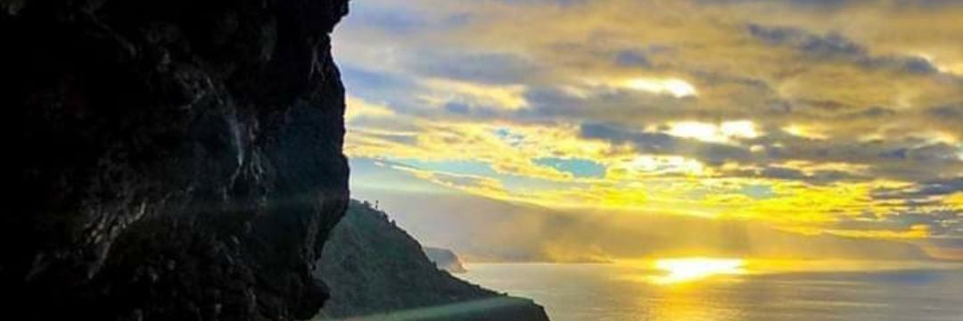 Laya@Rodriguez banner