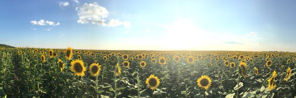 t_gordau Profile Banner