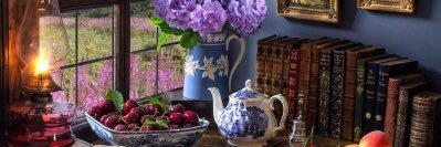 セレンシア banner