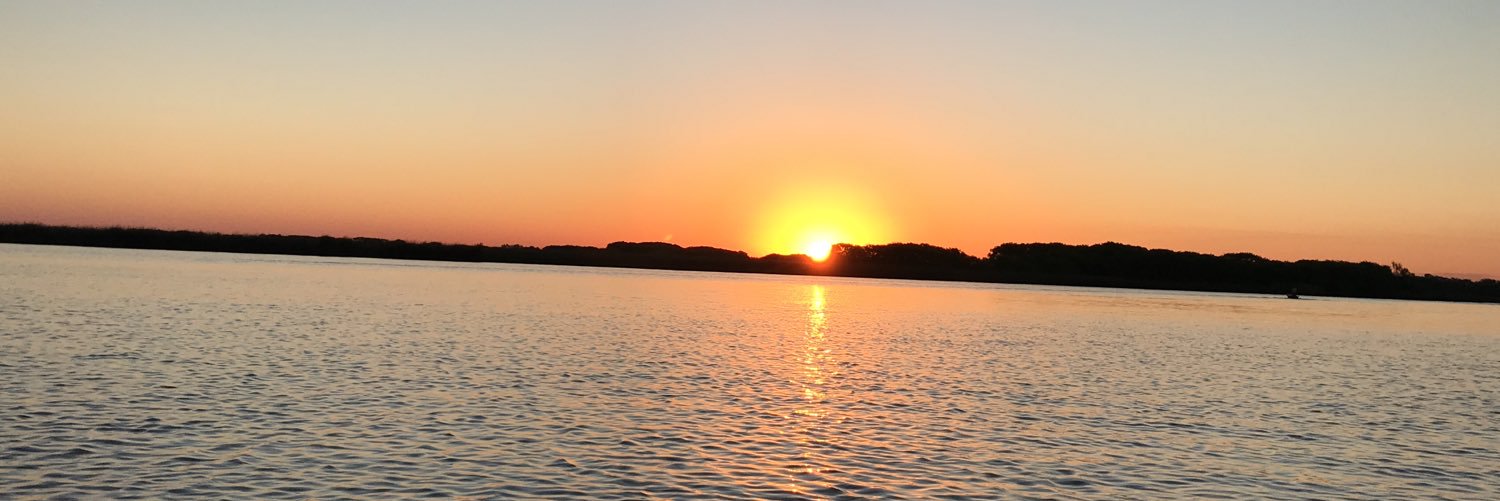 Andrea Serejski banner