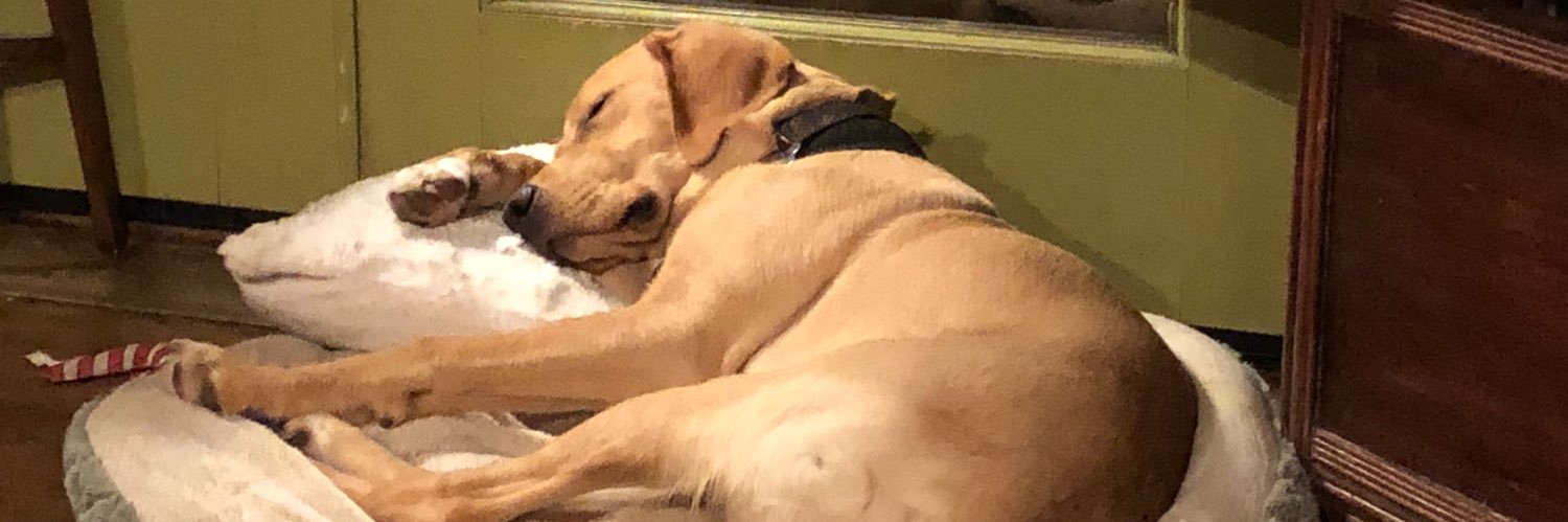 maryebarrett's profile banner image