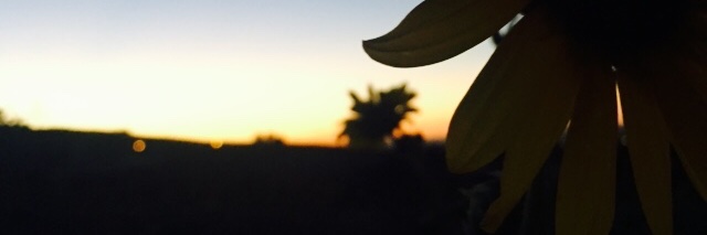 _maddy_cooper_'s profile banner image