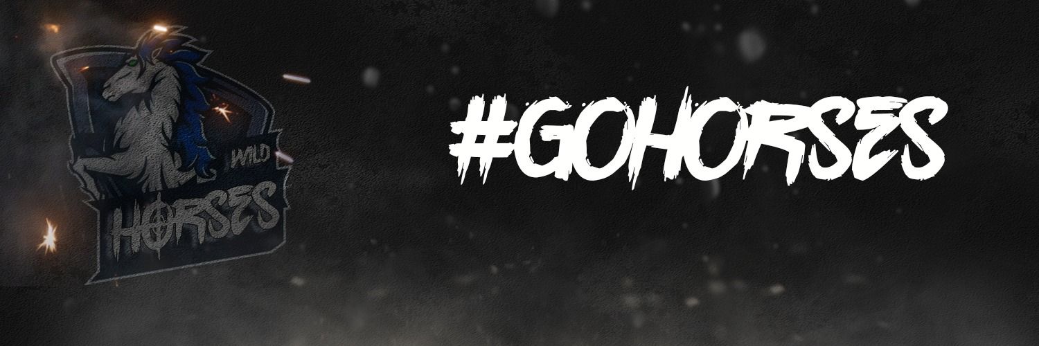 WildHorsesR6's profile banner image