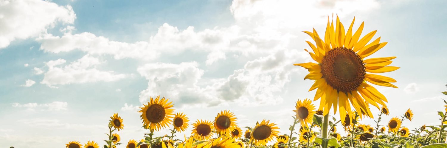 Yaneth Marín 🇵🇦 banner