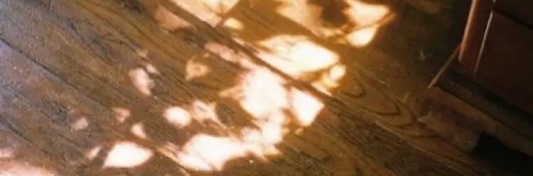 p_smth_'s profile banner image