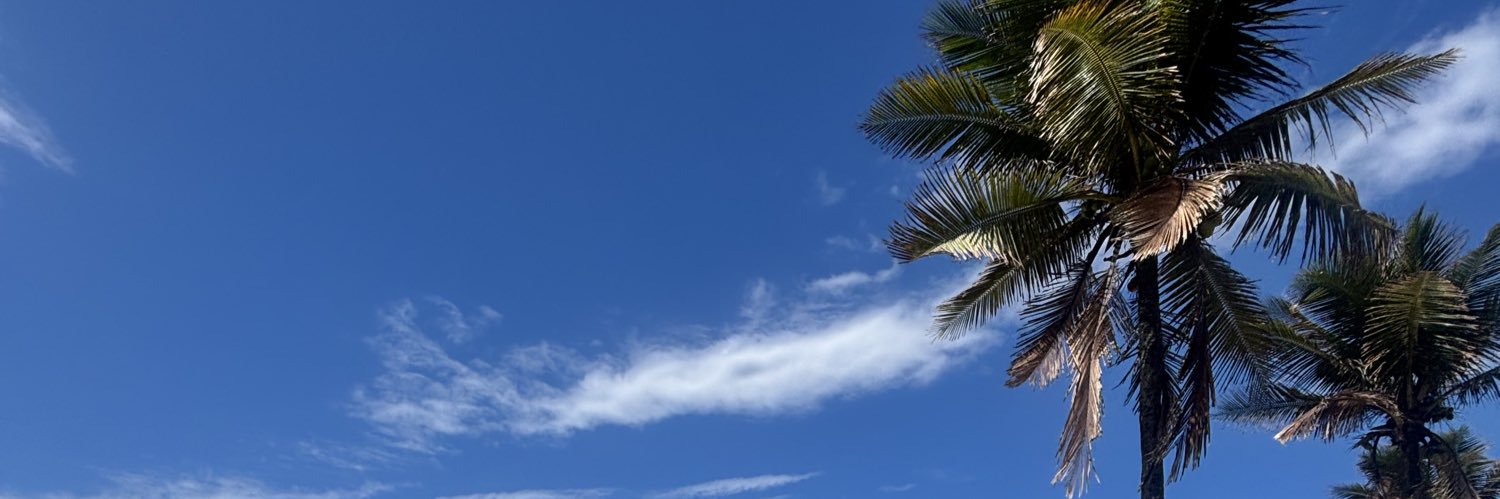 icaronune's profile banner image