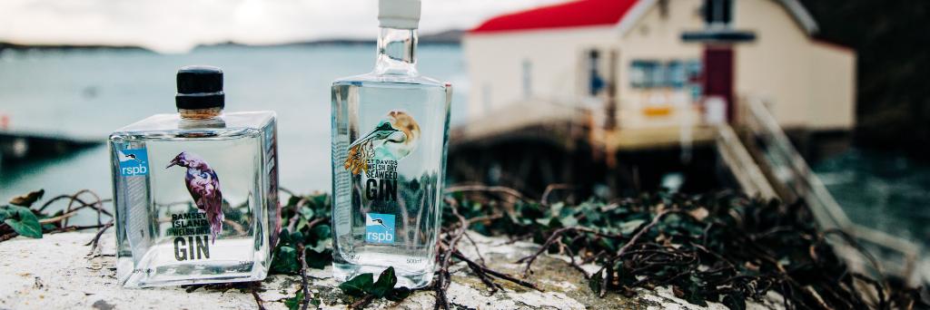 St Davids Gin banner