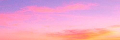 paulinaross_'s profile banner image