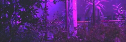 เฮียฟีนด์ 🔞 |เคะ3วัน| banner