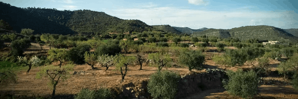 PerLaConca Profile Banner