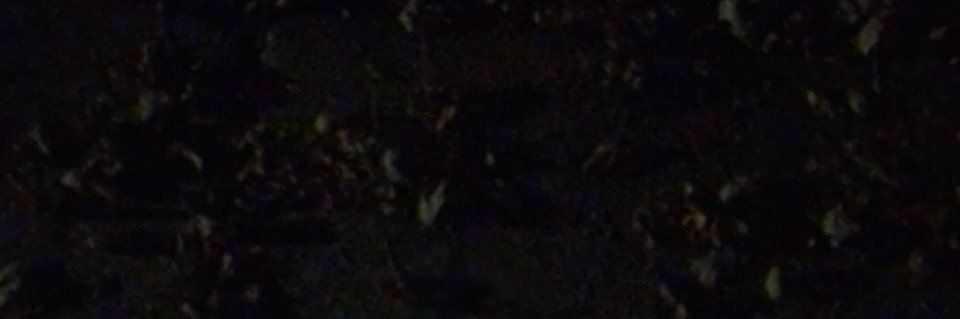 Teedrick Toilolo banner