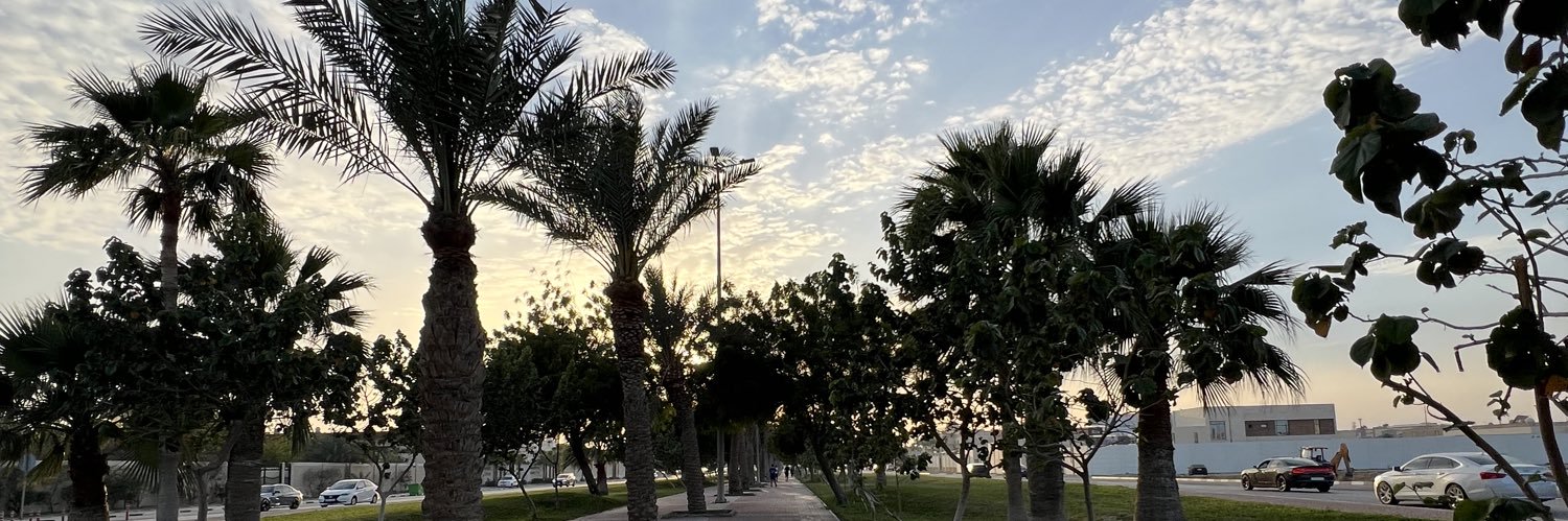 HamzawiBa's profile banner image