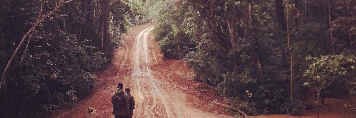 Bugoma Primate Conservation Project banner