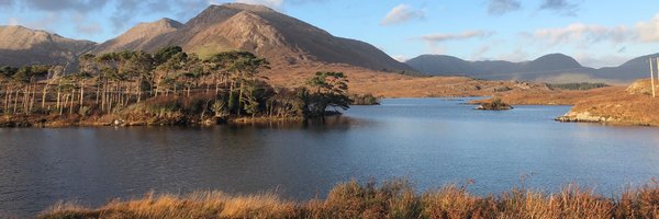 RizoLarios Profile Banner