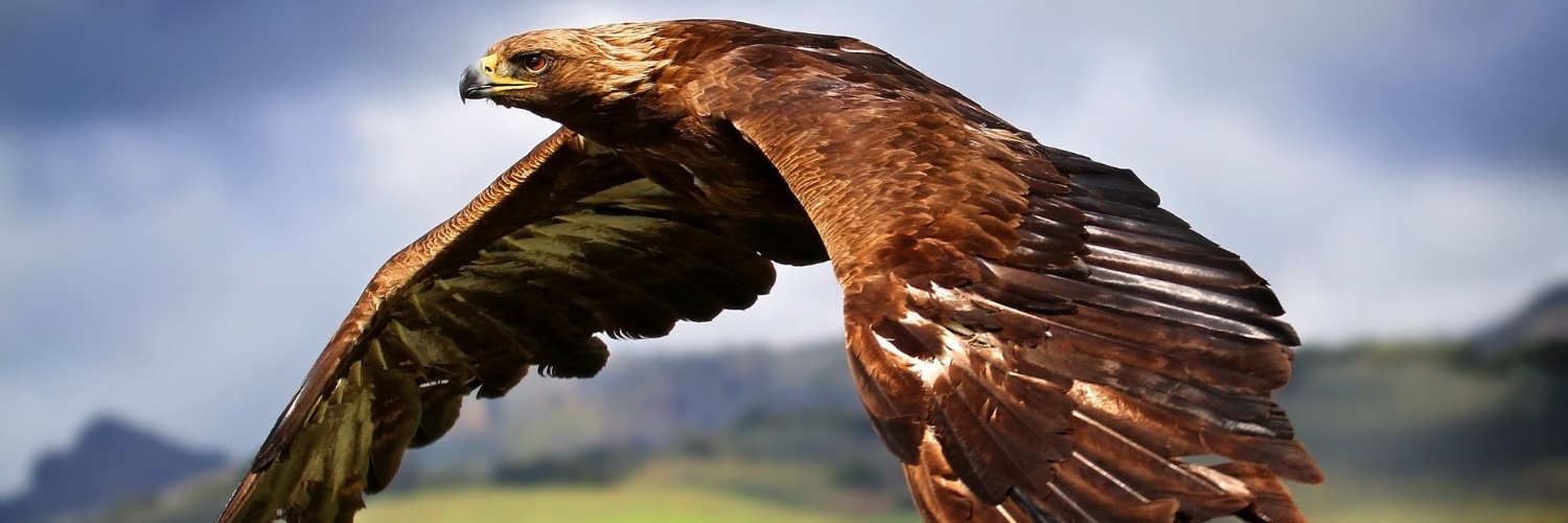 PHSchwager's profile banner image