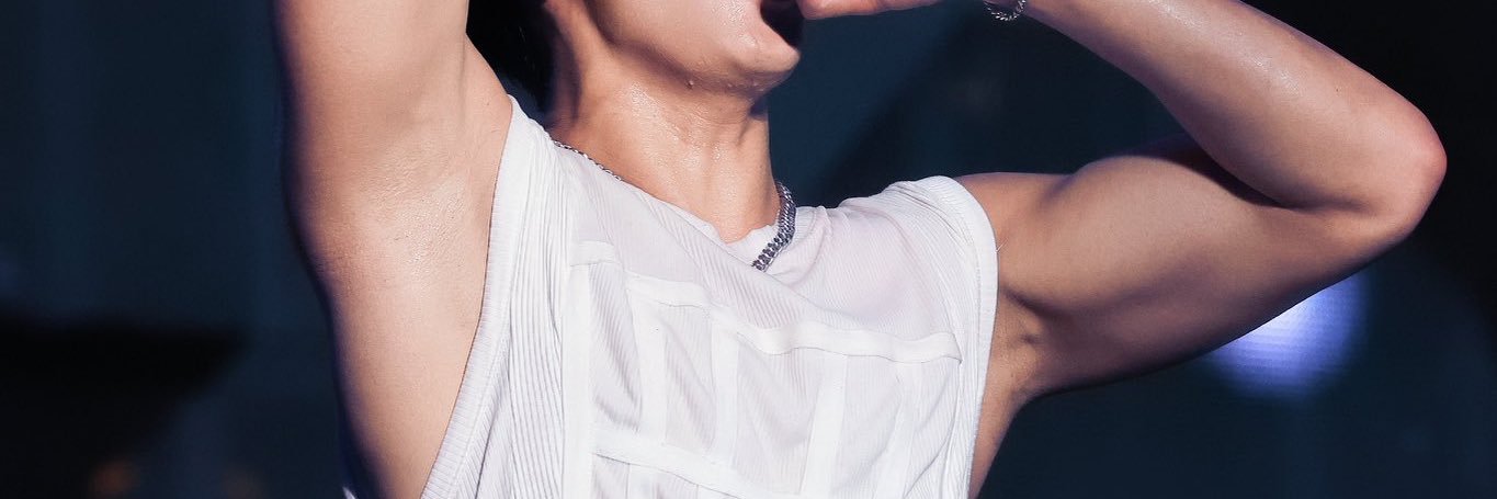sehuai-10 banner