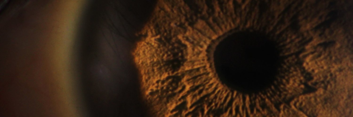 Eduardo Unda-Sanzana banner