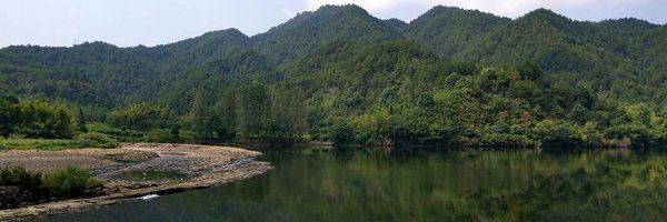 mist_mollen Profile Banner