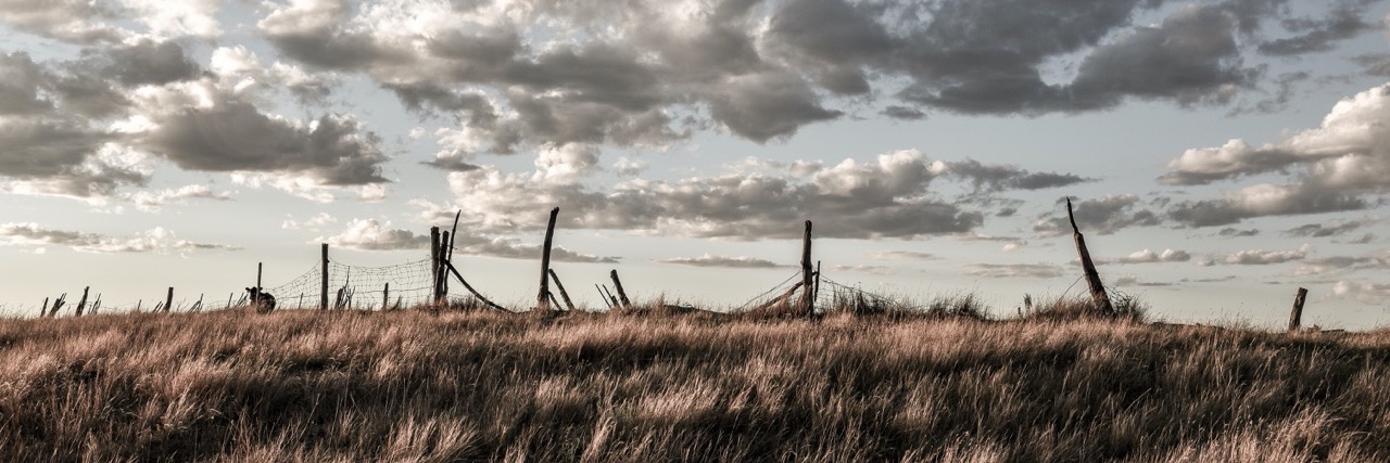 joshdorr's profile banner image