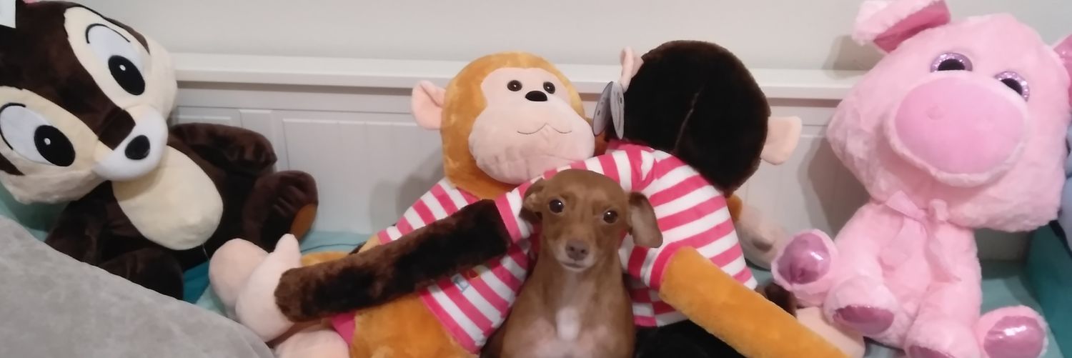 merescavy's profile banner image