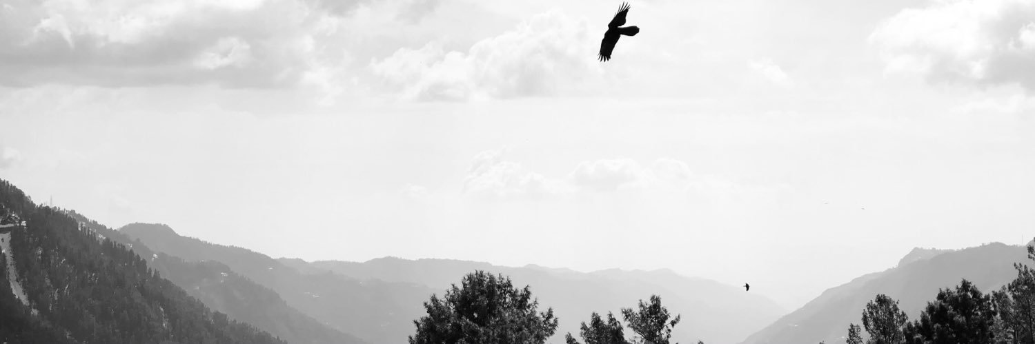 @musingsofarevert banner