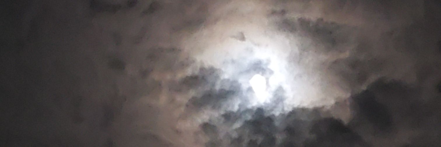 Skelekitton's profile banner image