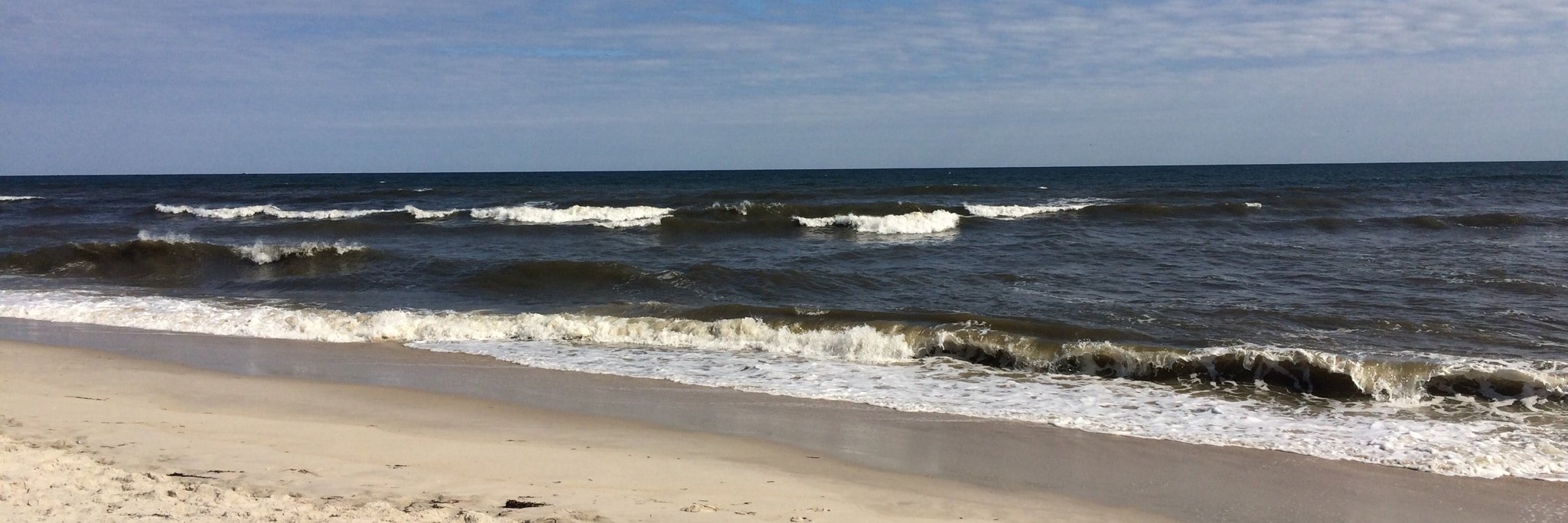 Kristen Newman banner