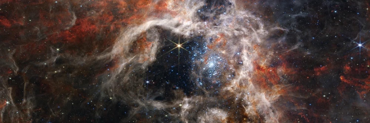 Colby Williams🌹 banner