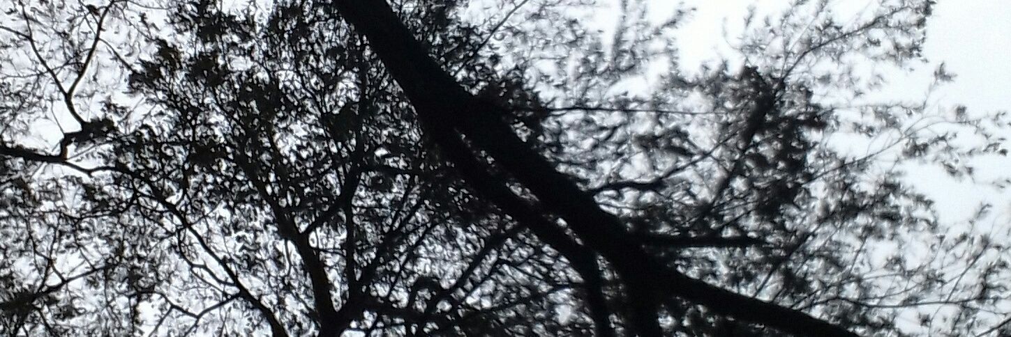 hlopez_Ga01's profile banner image