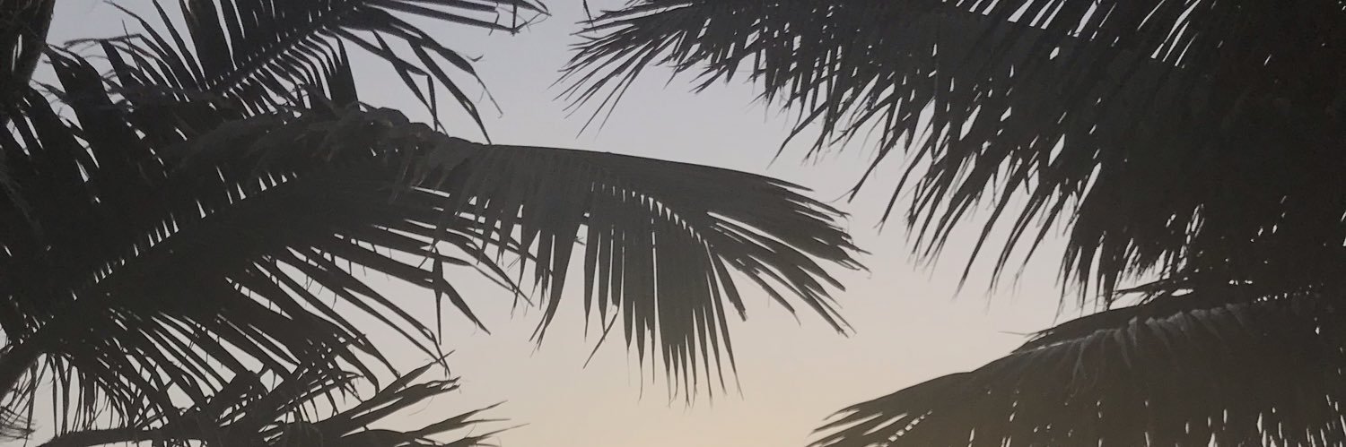 Aleeno08937's profile banner image
