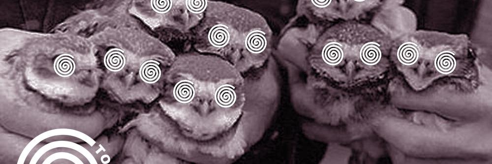 TOKYORY's profile banner image