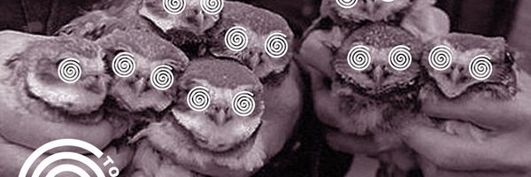 TOKYORY Profile Banner