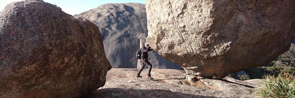 Mitchell Stark banner