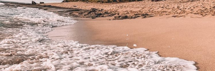 * banner
