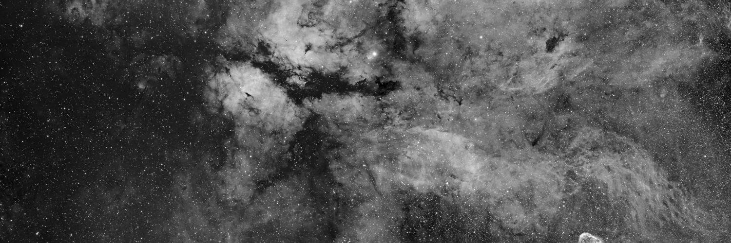 lisogallo's profile banner image
