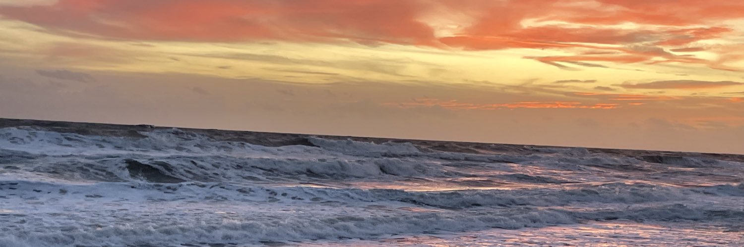xlbear3x's profile banner image