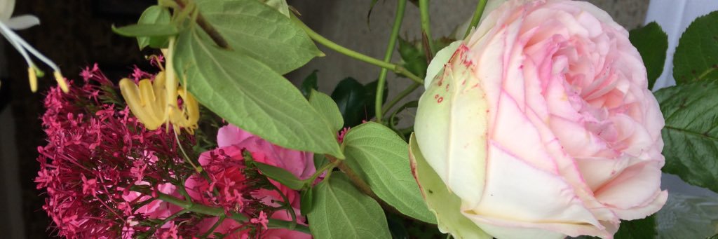 Vanik Berberian banner