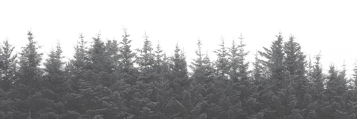___bett's profile banner image