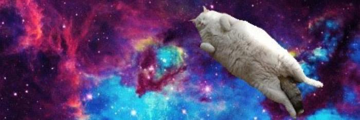 MerinKrolly's profile banner image