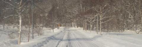 snowman_cool's profile banner image