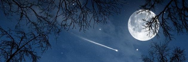 Hecatetheapple's profile banner image