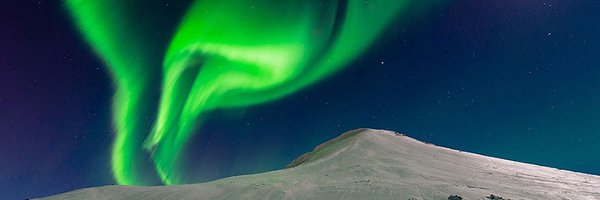 Enguermiceli Profile Banner