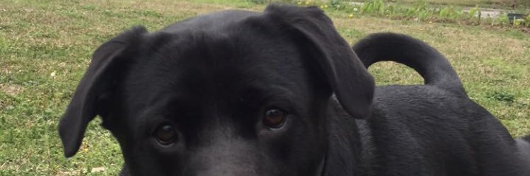 Haley_Camillo's profile banner image