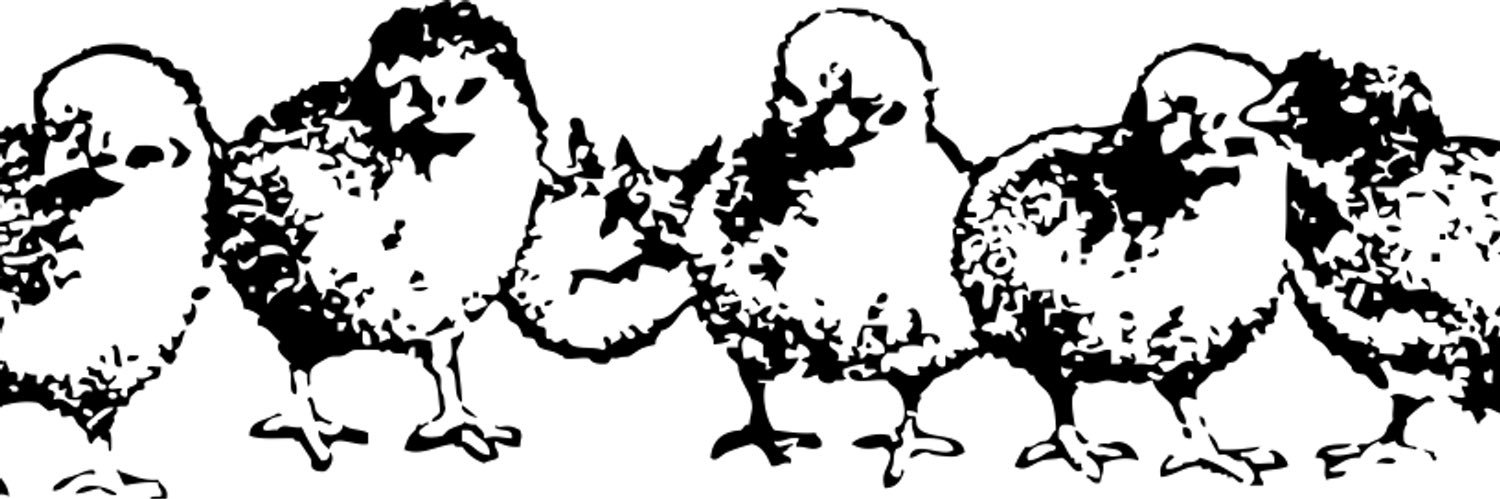 owxy's profile banner image