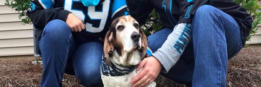 Chester Driscoll banner