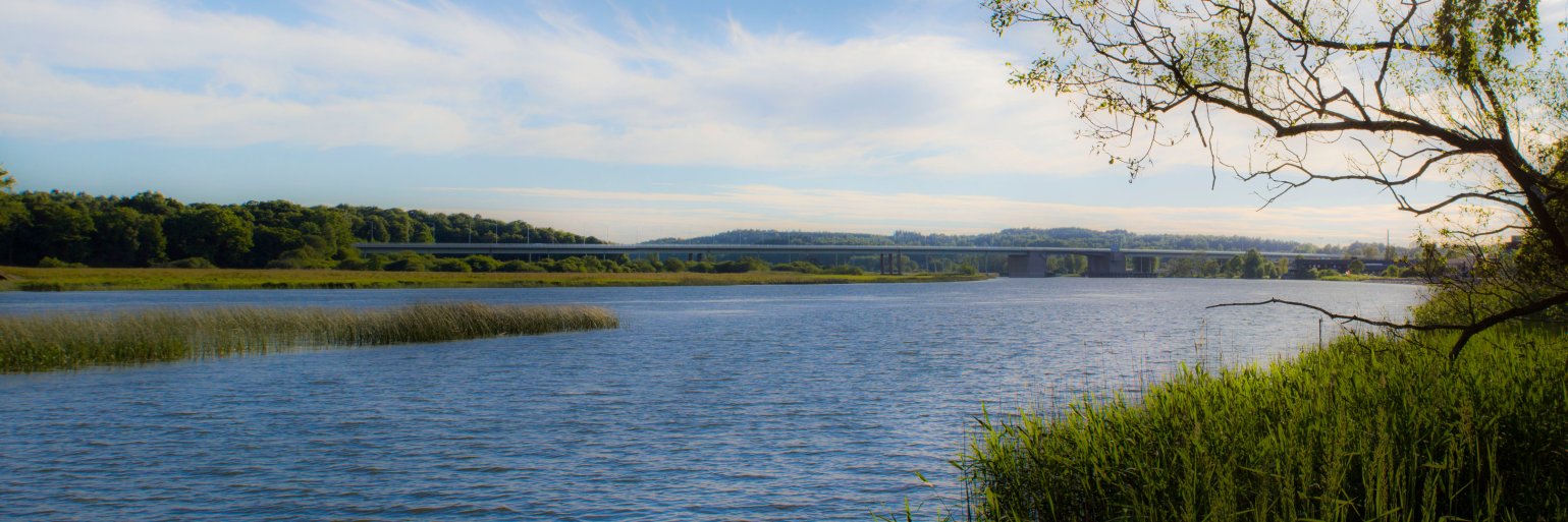Björn banner