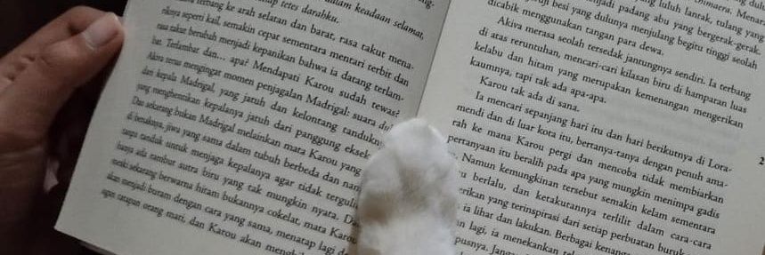 annamazzee's profile banner image