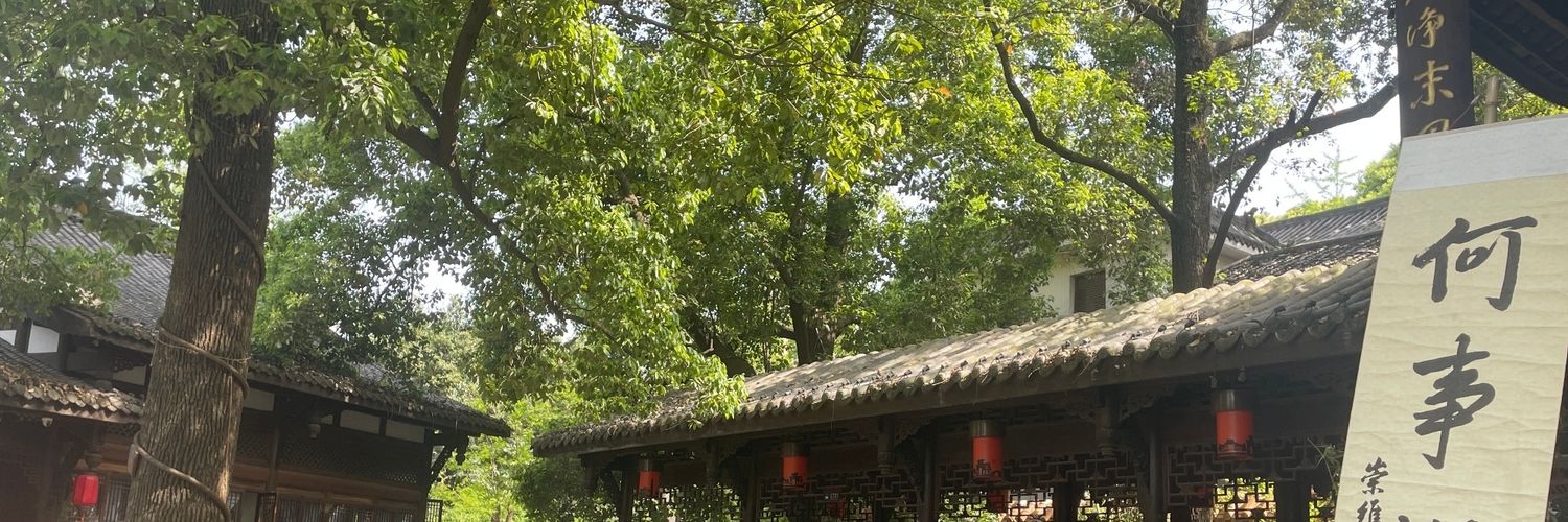 6-year-old boy Jr banner